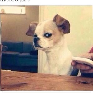 Meet your Posher, Marialuisa